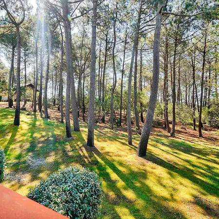 Apartment Les Maisons De Les Pins - Maeva - Maison 3 Pieces 8 Personnes Prestige Mae-2879 Lacanau